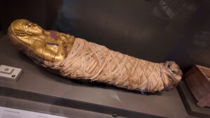 Hall Gallery 10 in Grand Egyptian Museum 3