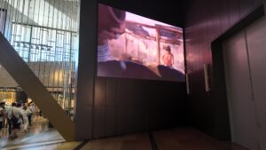 Grand Egyptian Museum - Children's display screens 3d Video Walls 2