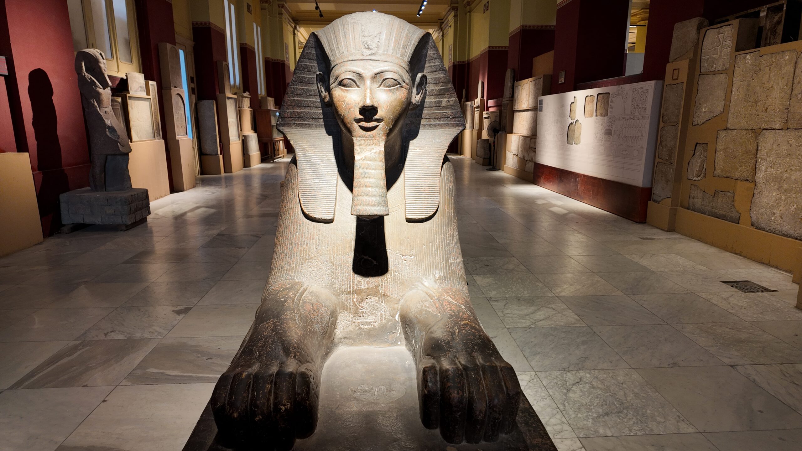 Egyptian Museum in Cairo 4K Video